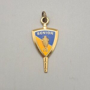 Vintage Jostens 1976 WHS Senior Class Necklace Pendant Gold Tone Enamel Charm